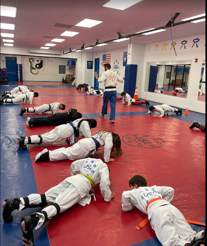 USA Karate kicking technique